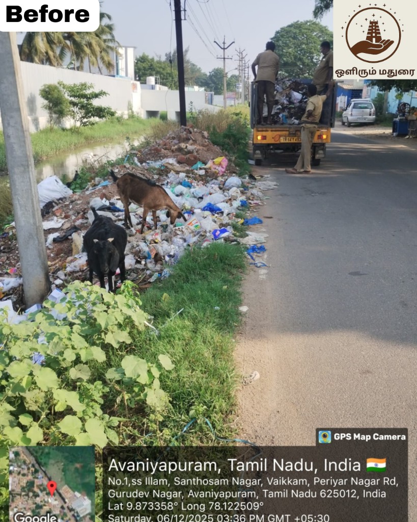 Periyar Nagar roadside - Before